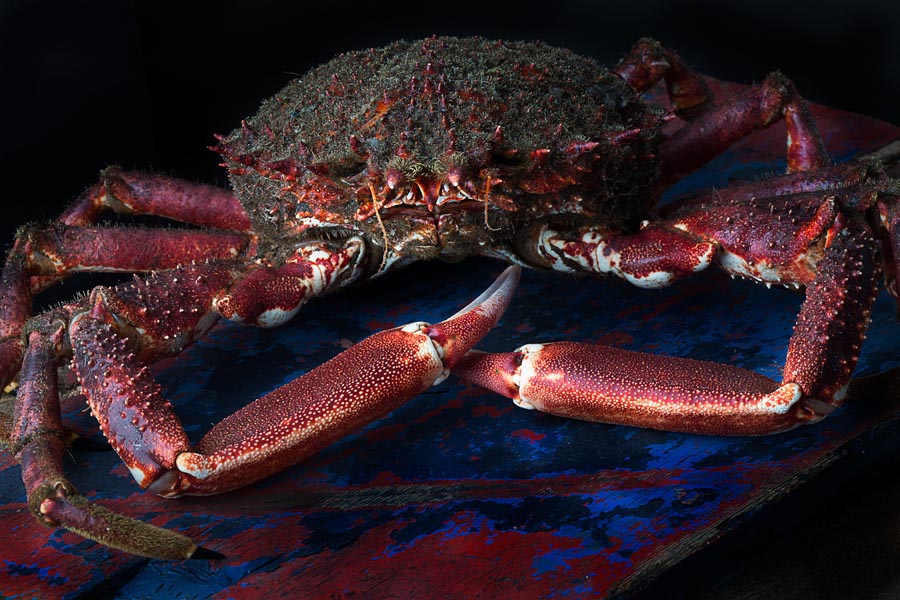 Foto gastronómica ©Fanjul