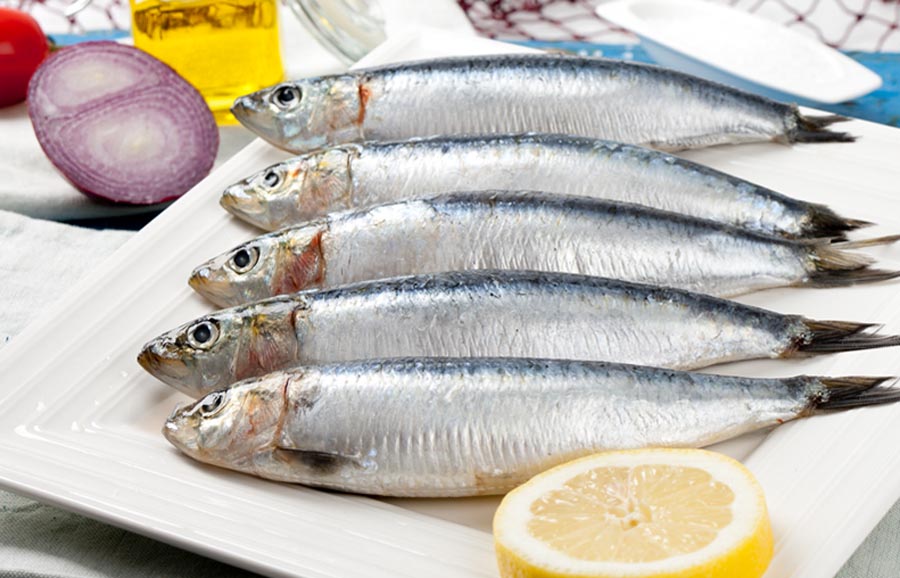 Foto gastronómica ©Fanjul