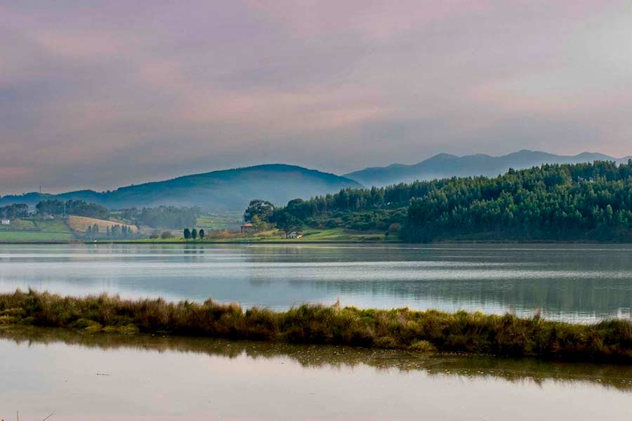 Asturias joaquin fanjul