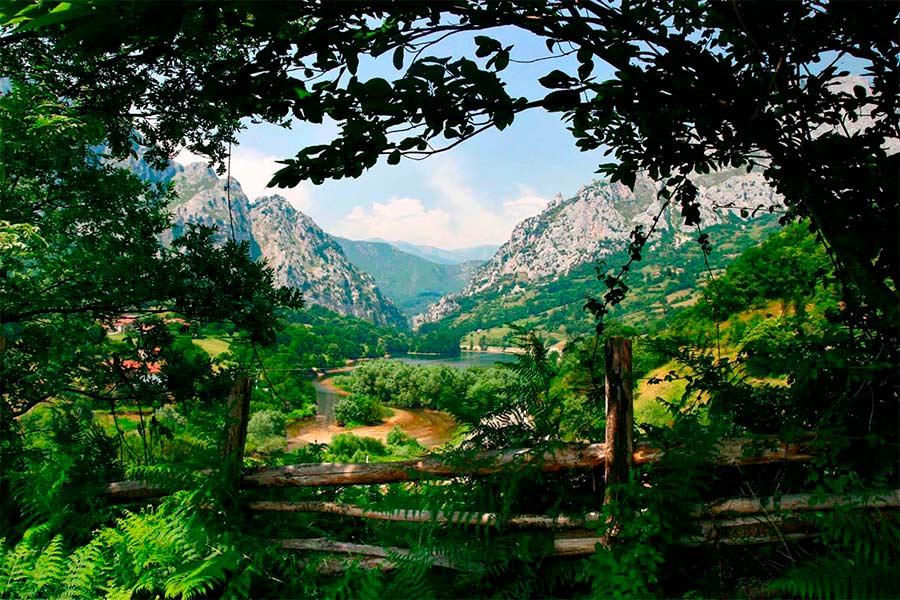 Asturias joaquin fanjul