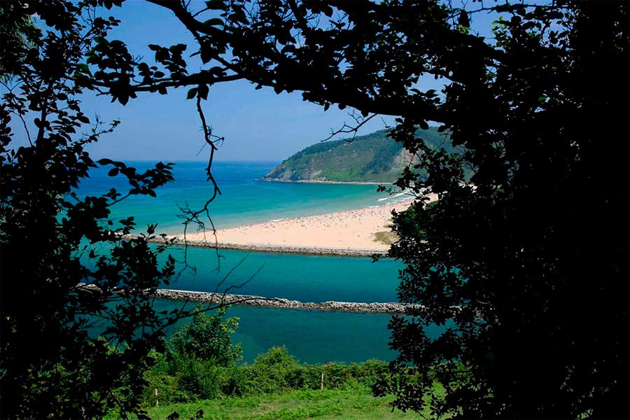 Asturias joaquin fanjul