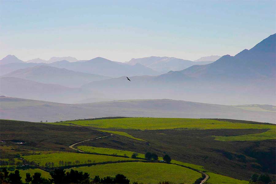 Asturias joaquin fanjul