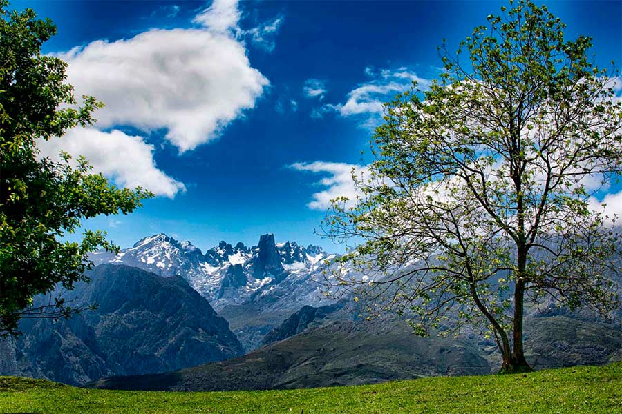 Asturias joaquin fanjul