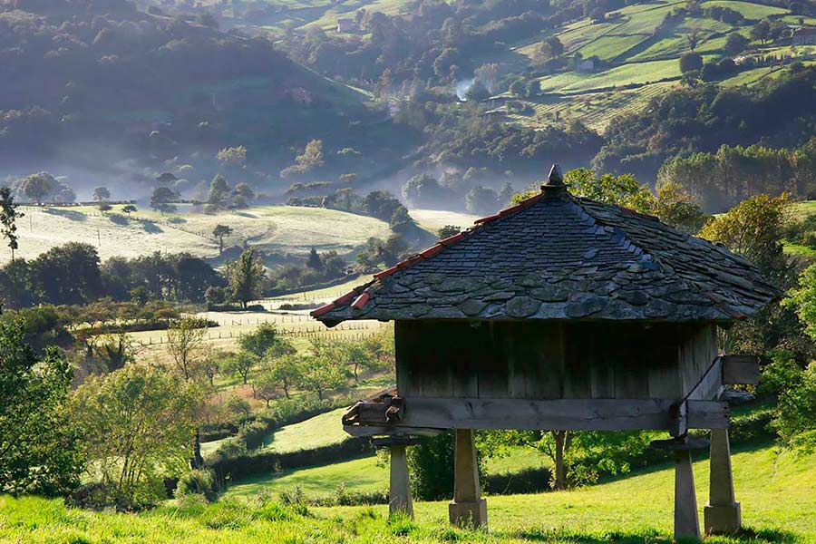 Asturias joaquin fanjul