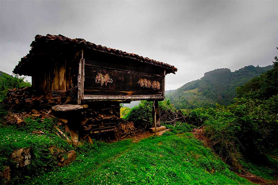 Asturias joaquin fanjul