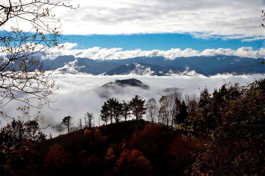 Asturias joaquin fanjul