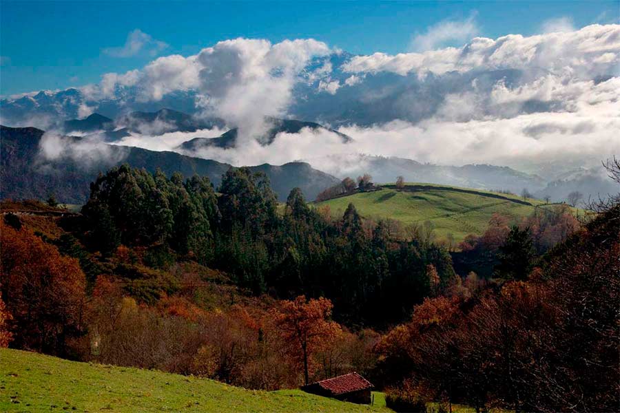 Asturias joaquin fanjul