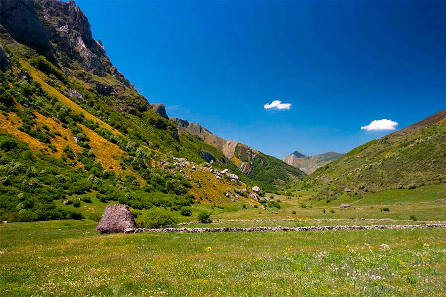 Asturias joaquin fanjul