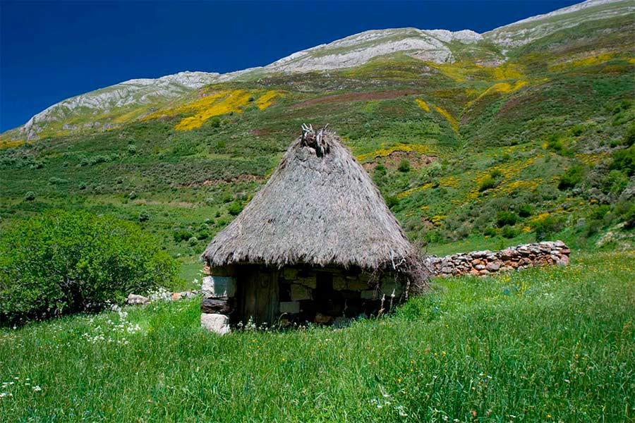 Asturias joaquin fanjul