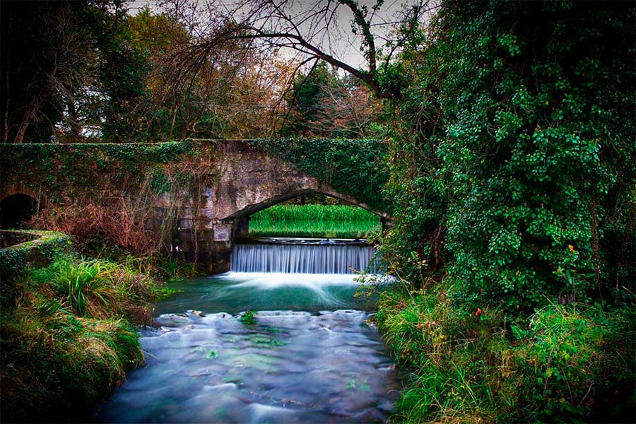 Asturias joaquin fanjul