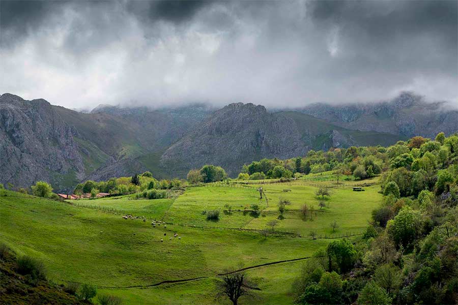 Asturias joaquin fanjul
