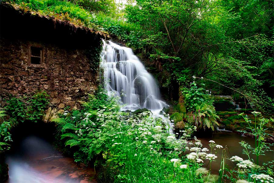 Asturias joaquin fanjul