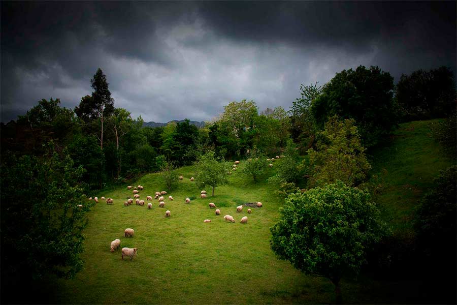 Asturias joaquin fanjul